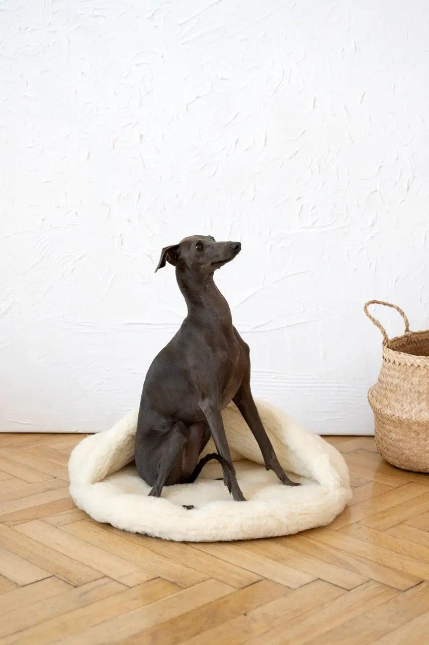 Natural Wool Pet Cave - White Mellow Pet Store