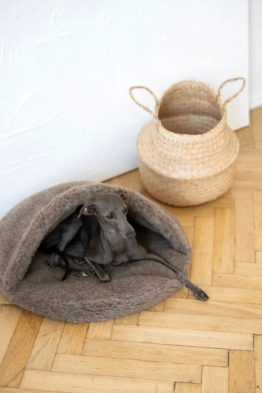Natural Wool Pet Cave - Beige Mellow Pet Store