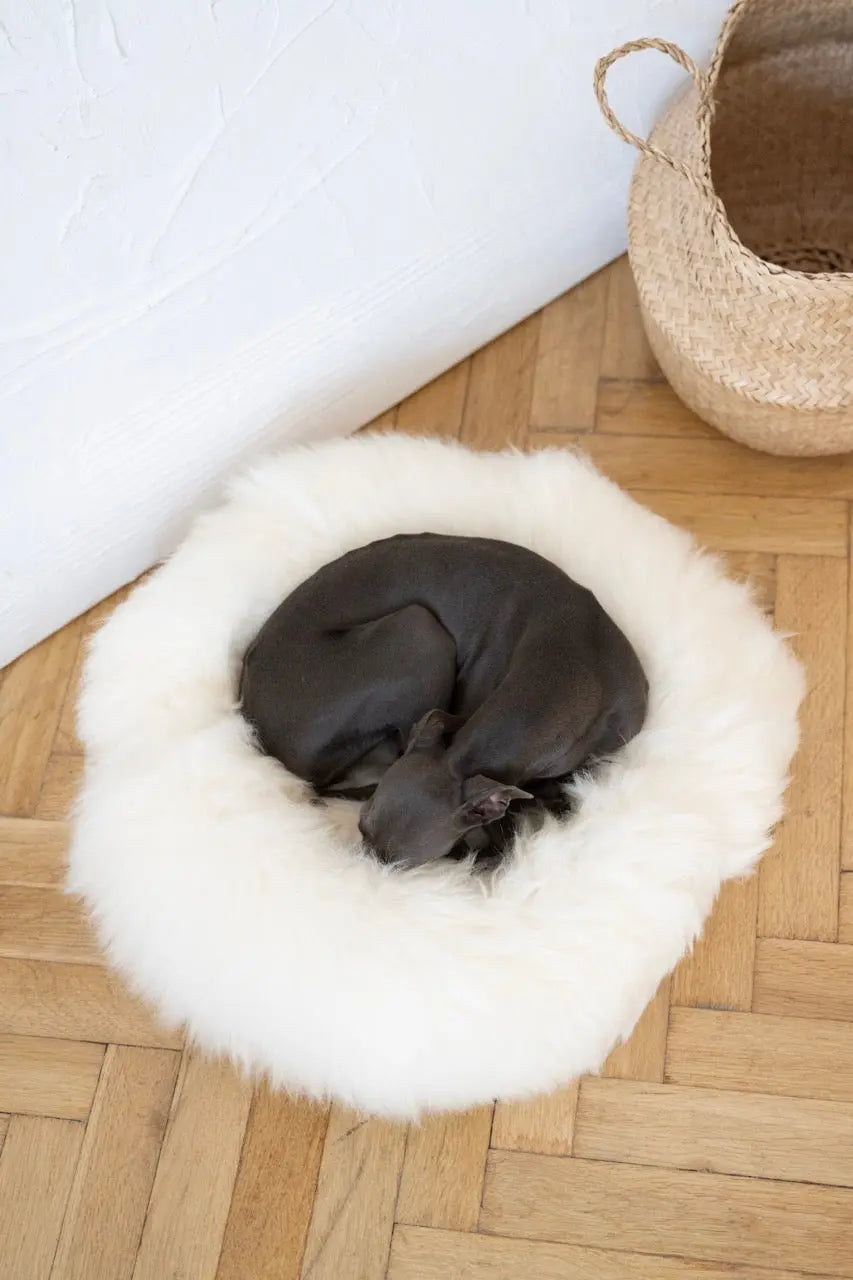 Round Natural Sheepskin Pet Bed - White Mellow Pet Store