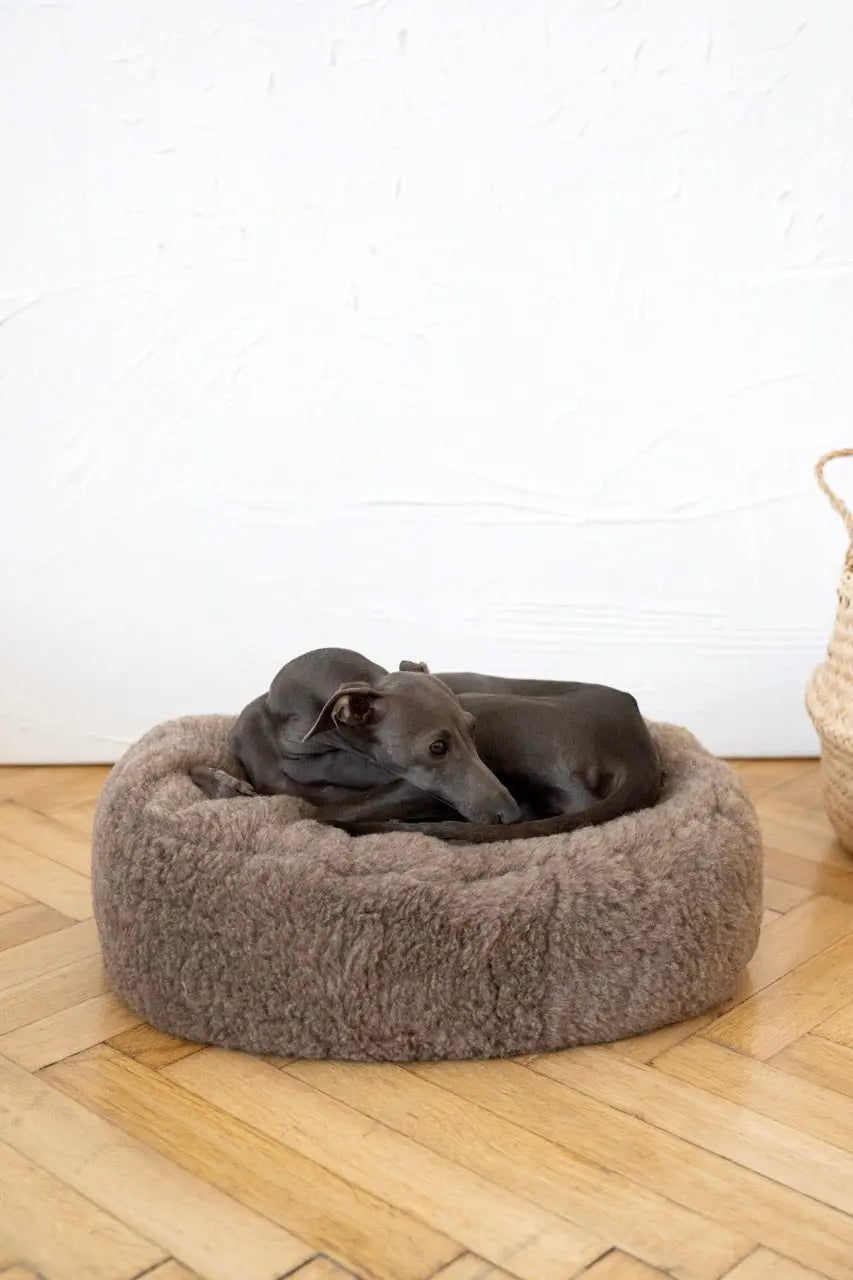 Oval Natural Wool Pet Bed - Beige Mellow Pet Store