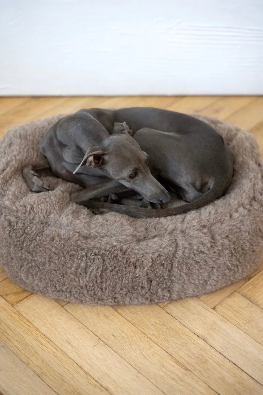 Oval Natural Wool Pet Bed - Beige Mellow Pet Store