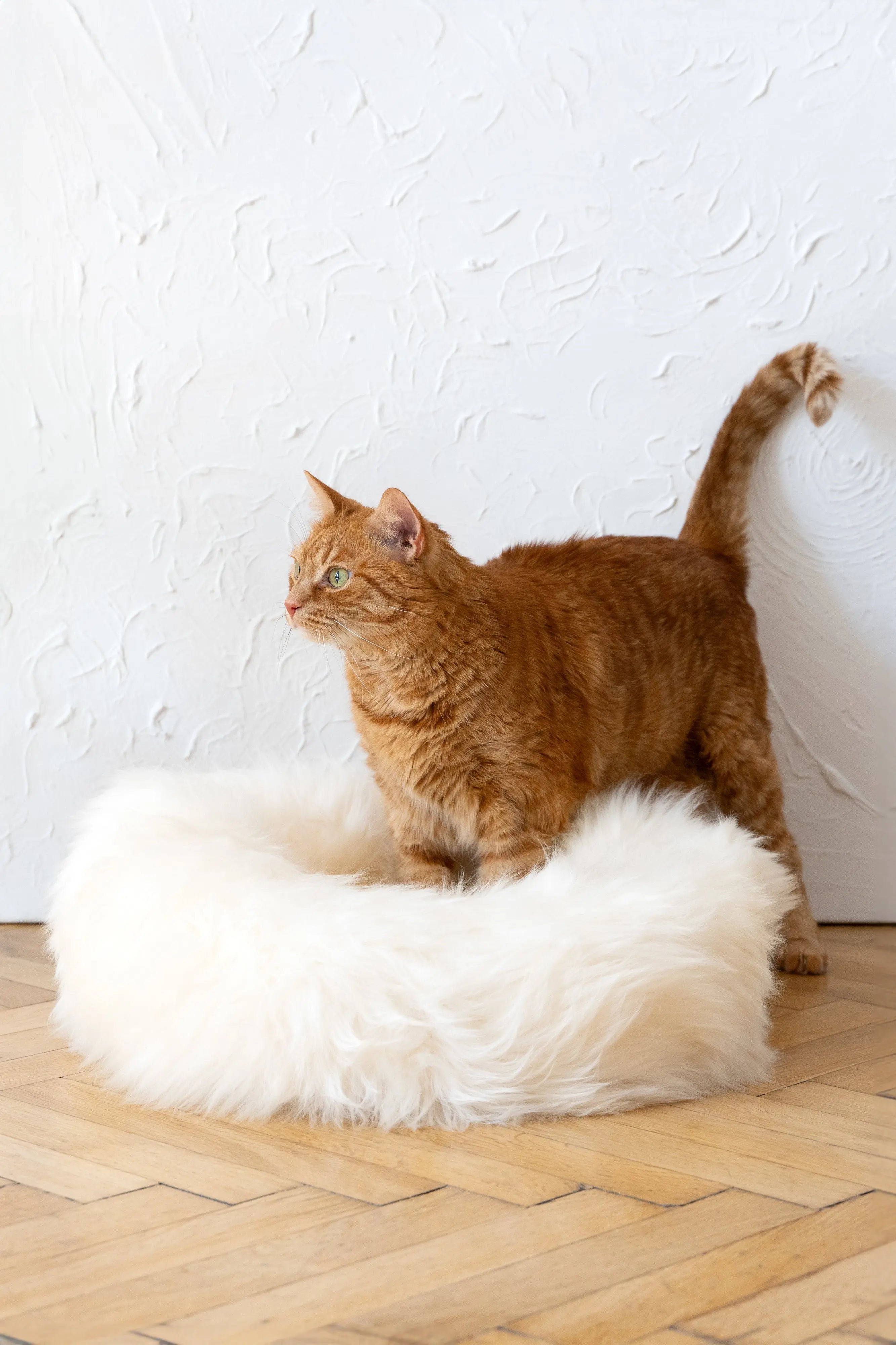 Round Natural Sheepskin Pet Bed - White Mellow Pet Store