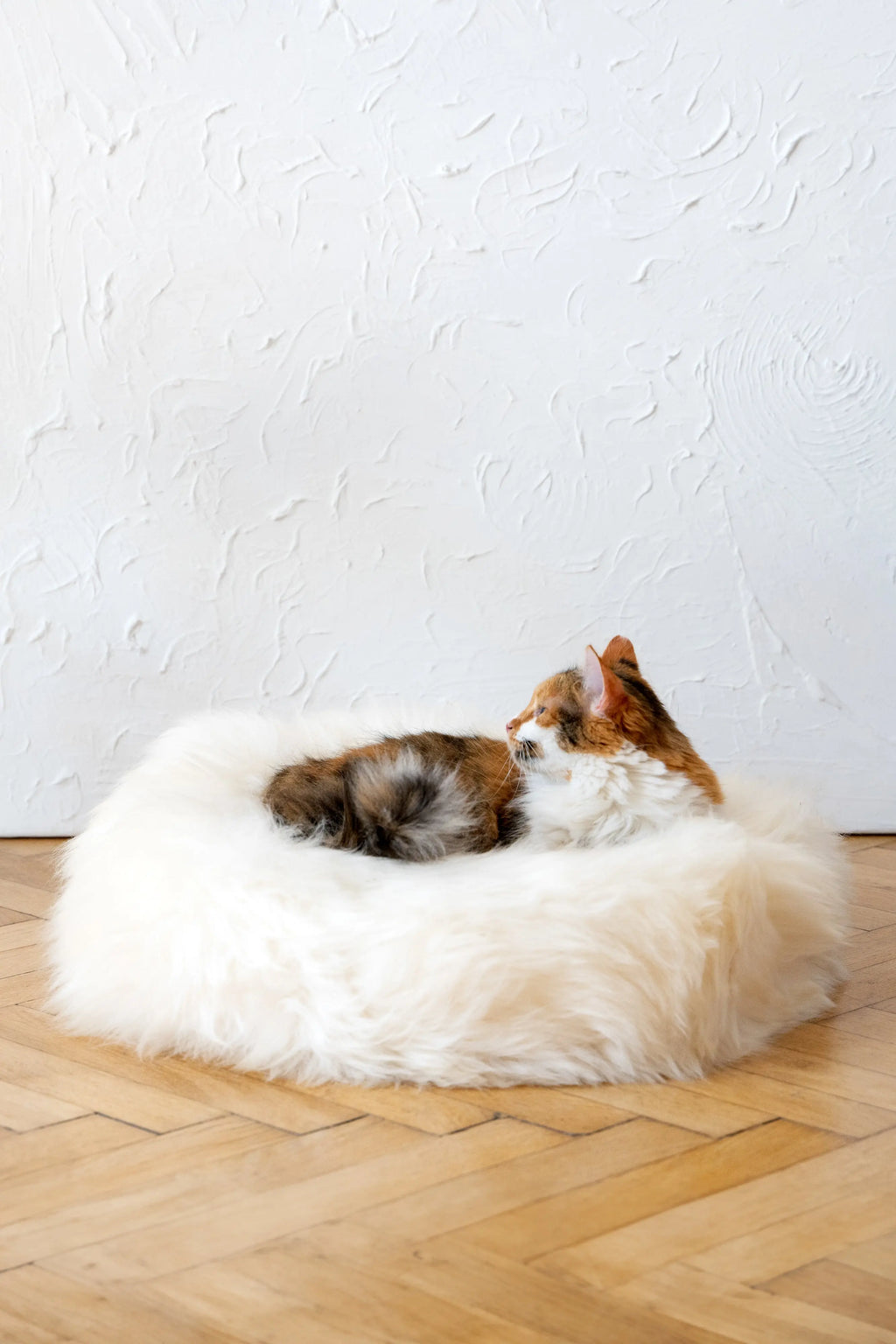 Round Natural Sheepskin Pet Bed - White Mellow Pet Store