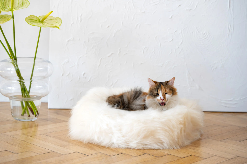 Round Natural Sheepskin Pet Bed - White Mellow Pet Store