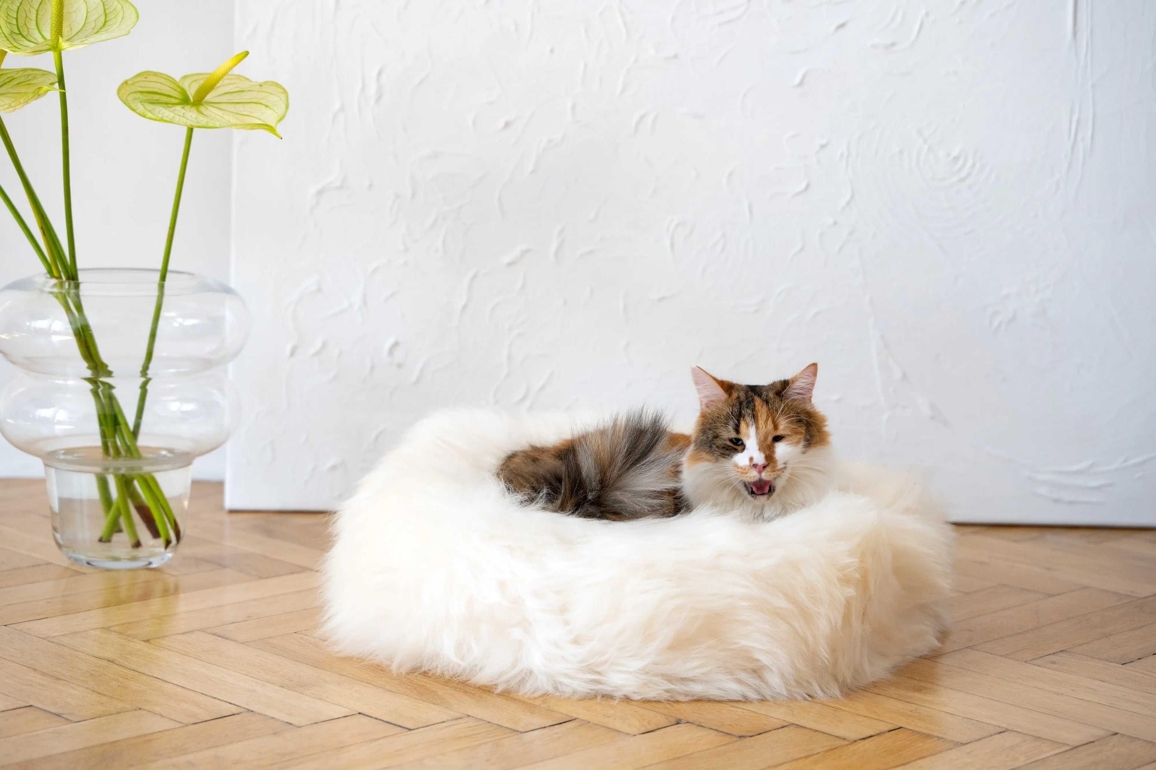 Round Natural Sheepskin Pet Bed - White Mellow Pet Store