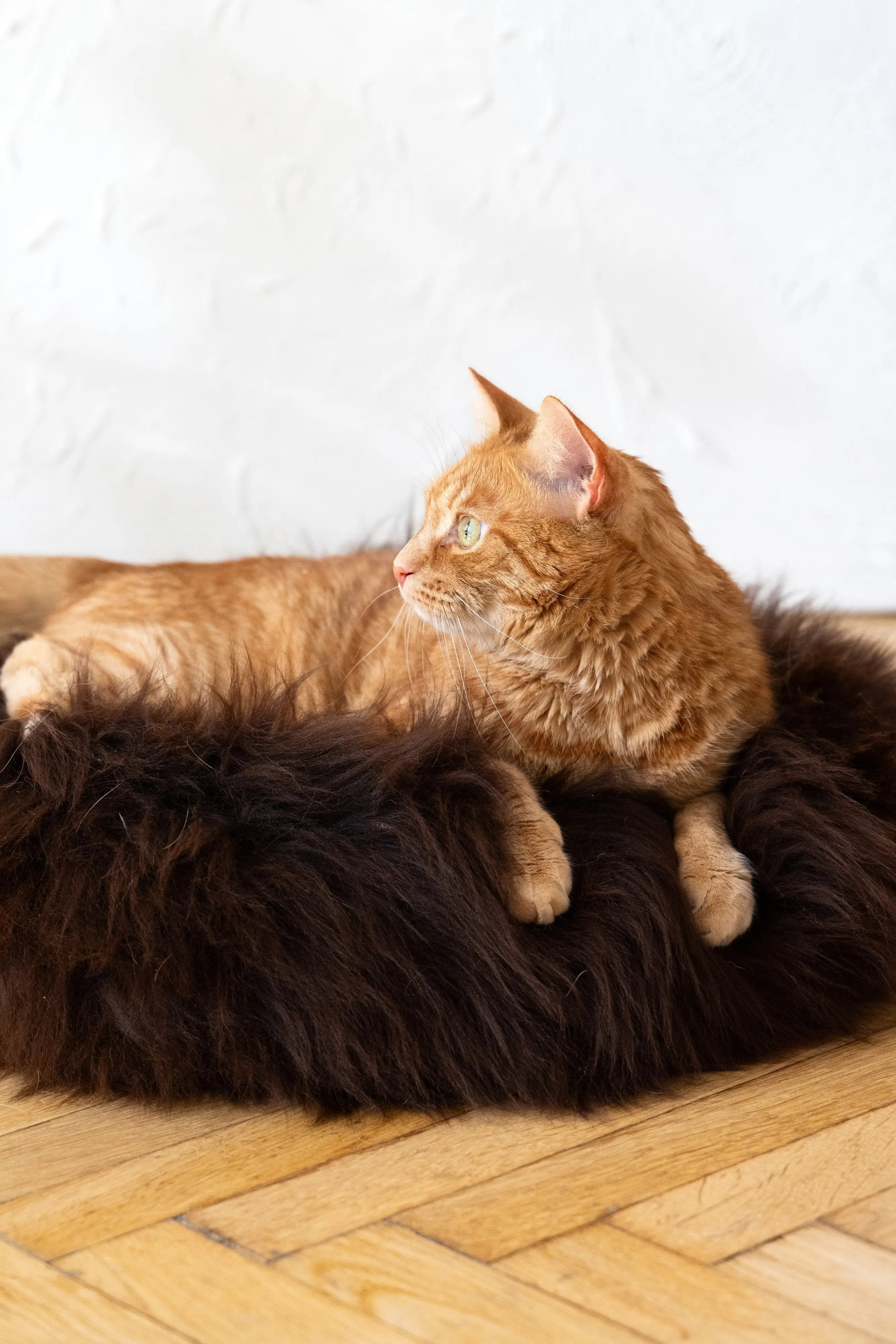Round Natural Sheepskin Pet Bed - Brown Mellow Pet Store