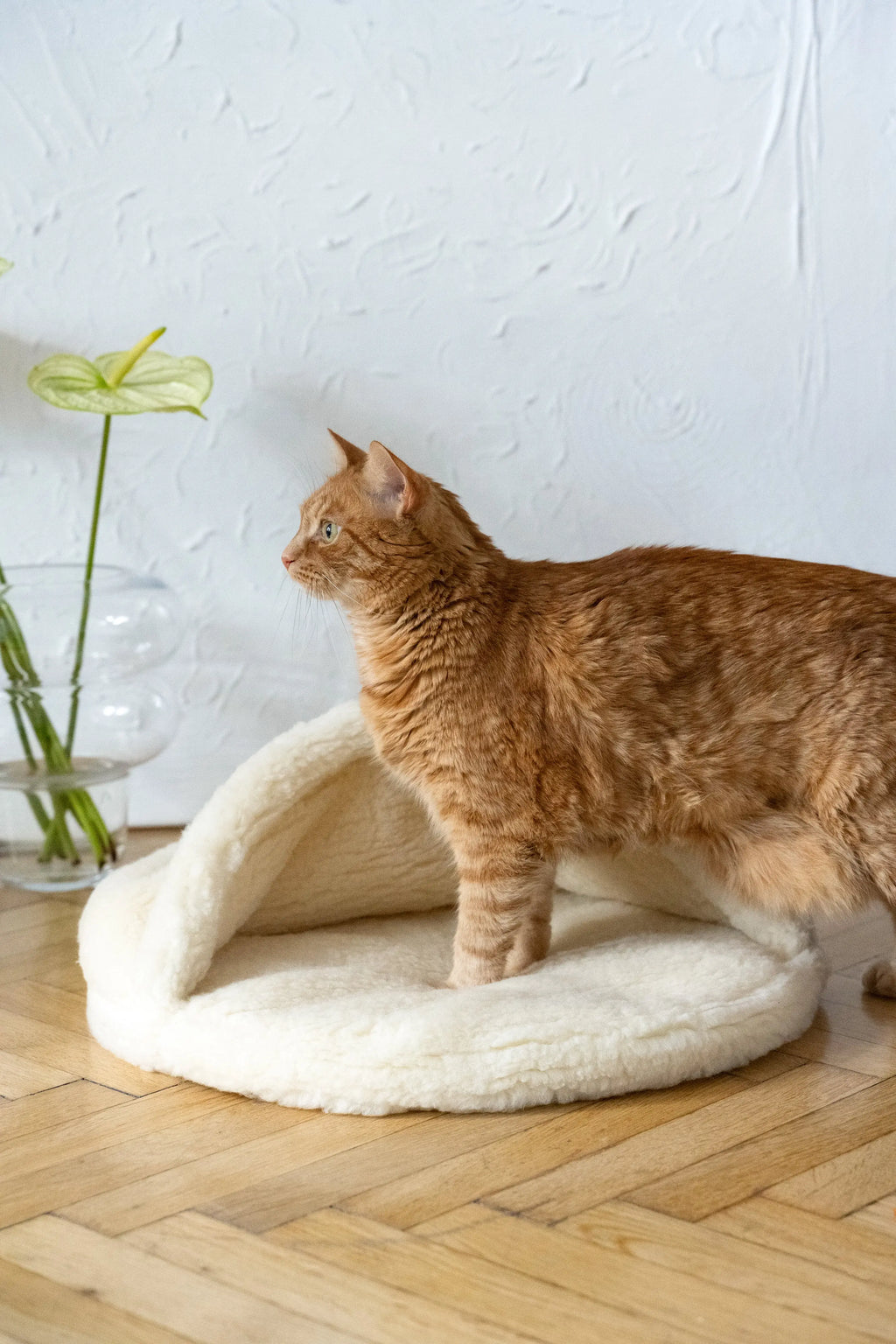 Natural Wool Pet Cave - White Mellow Pet Store