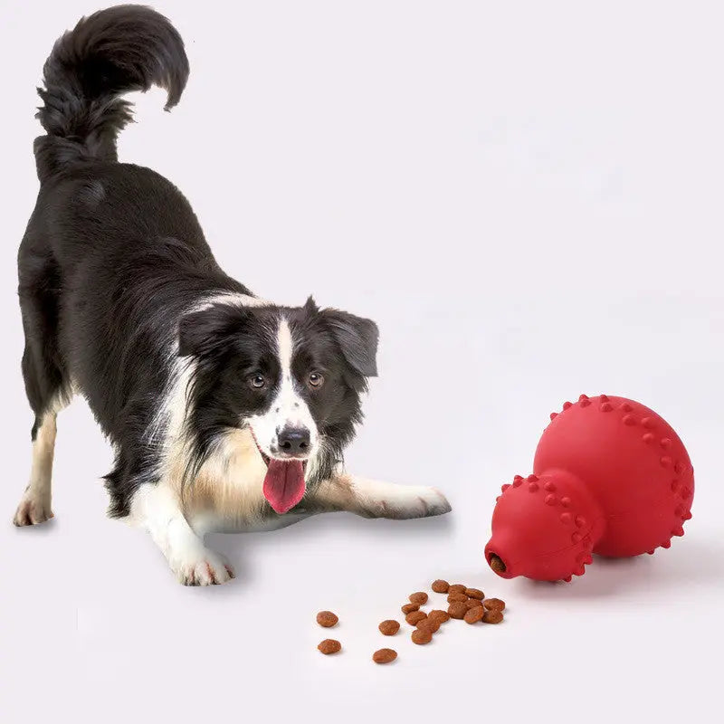 Pet Toy Natural Rubber for Teeth Cashymart