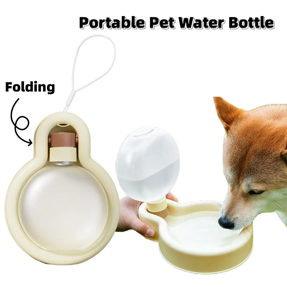 Portable 500ml Pet Water Bottle Cashymart