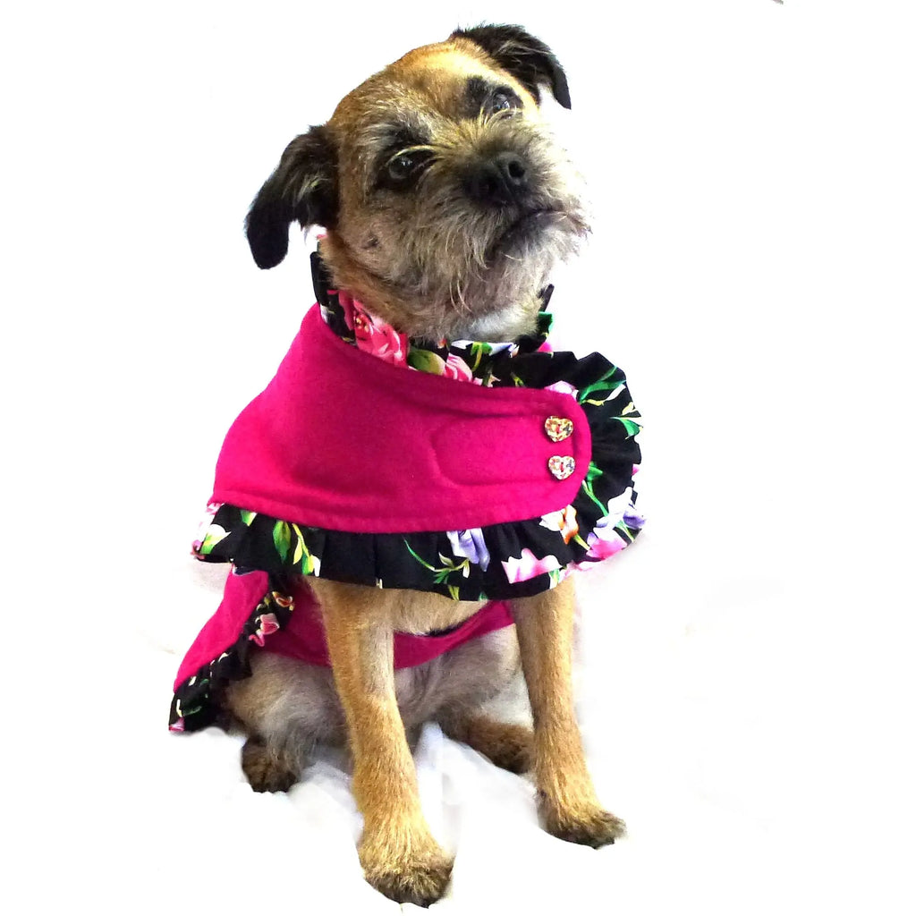 Prediletto Pet Couture Bundle Prediletto