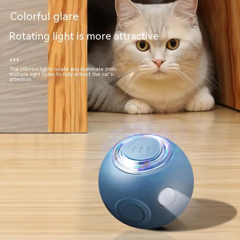 Smart Cat Pet Ball Cashymart