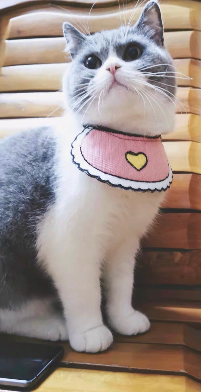 Love Pink Bibs for pets Craz_ycatlovers
