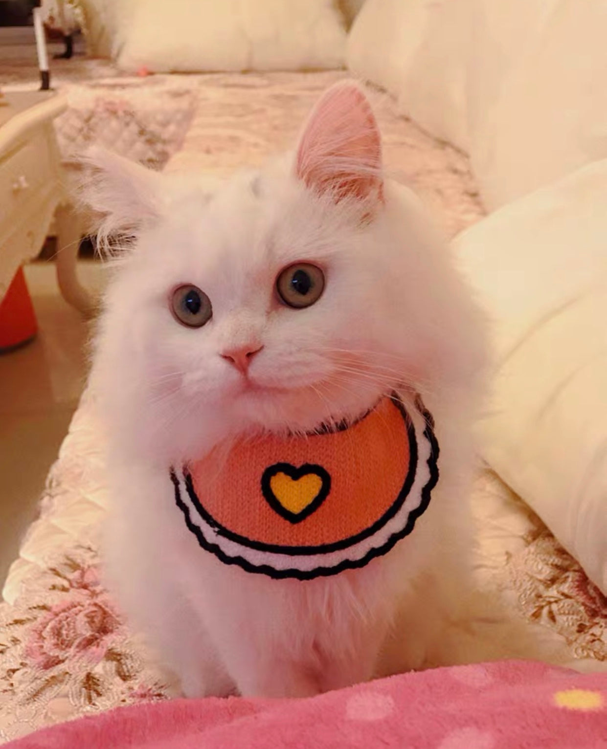 Love Pink Bibs for pets Craz_ycatlovers