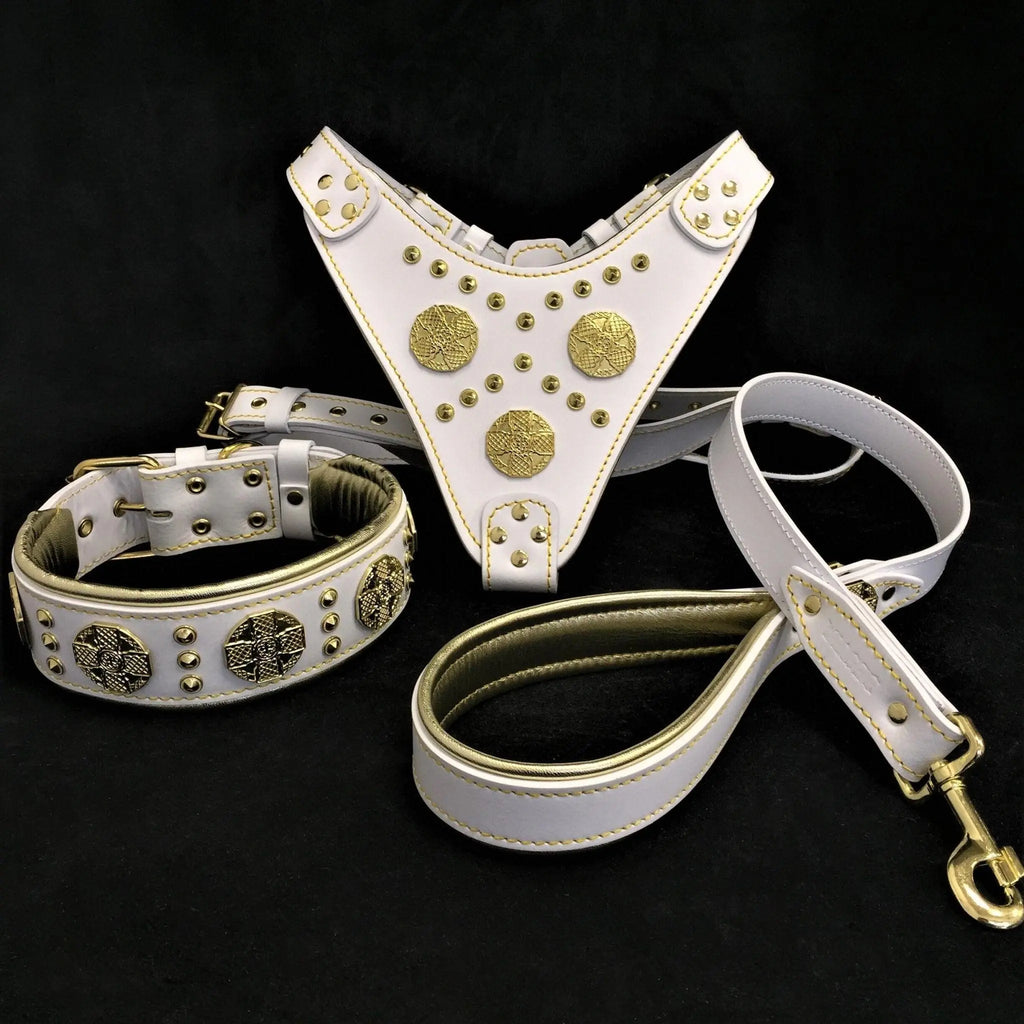 "Maximus White" BIG dog SET- Harness - collar - lead. Brass rivets BESTIA