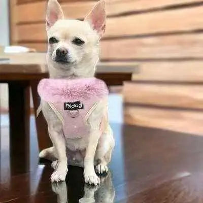 Pink Paws Pet Parade Kit: Ultimate Style & Comfort 🐾 Finnigan's Play Pen