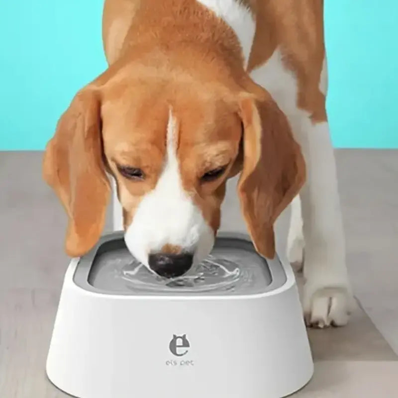 NNETM Non-Spill Anti-Splash Pet Water Bowl for Dogs NNETM