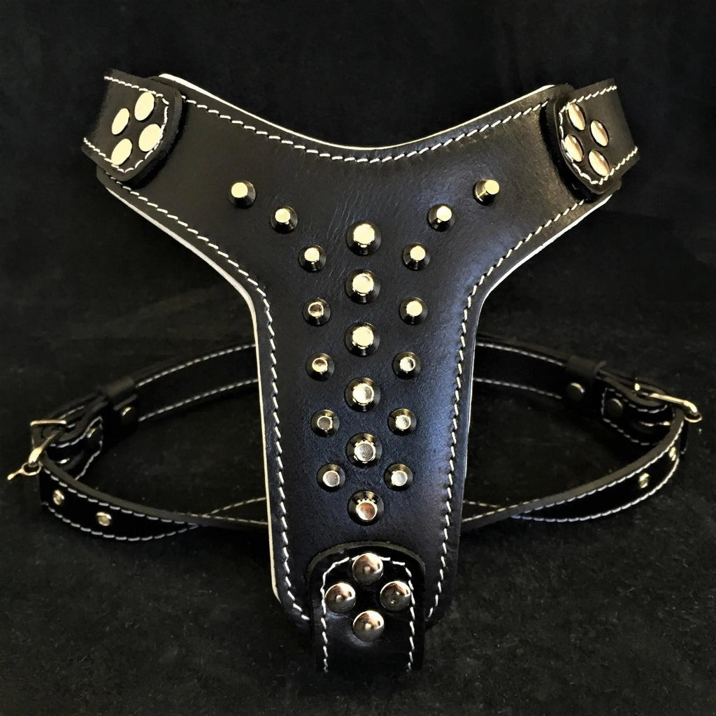 The "Rocky" studded leather harness Small to Medium Size BESTIA