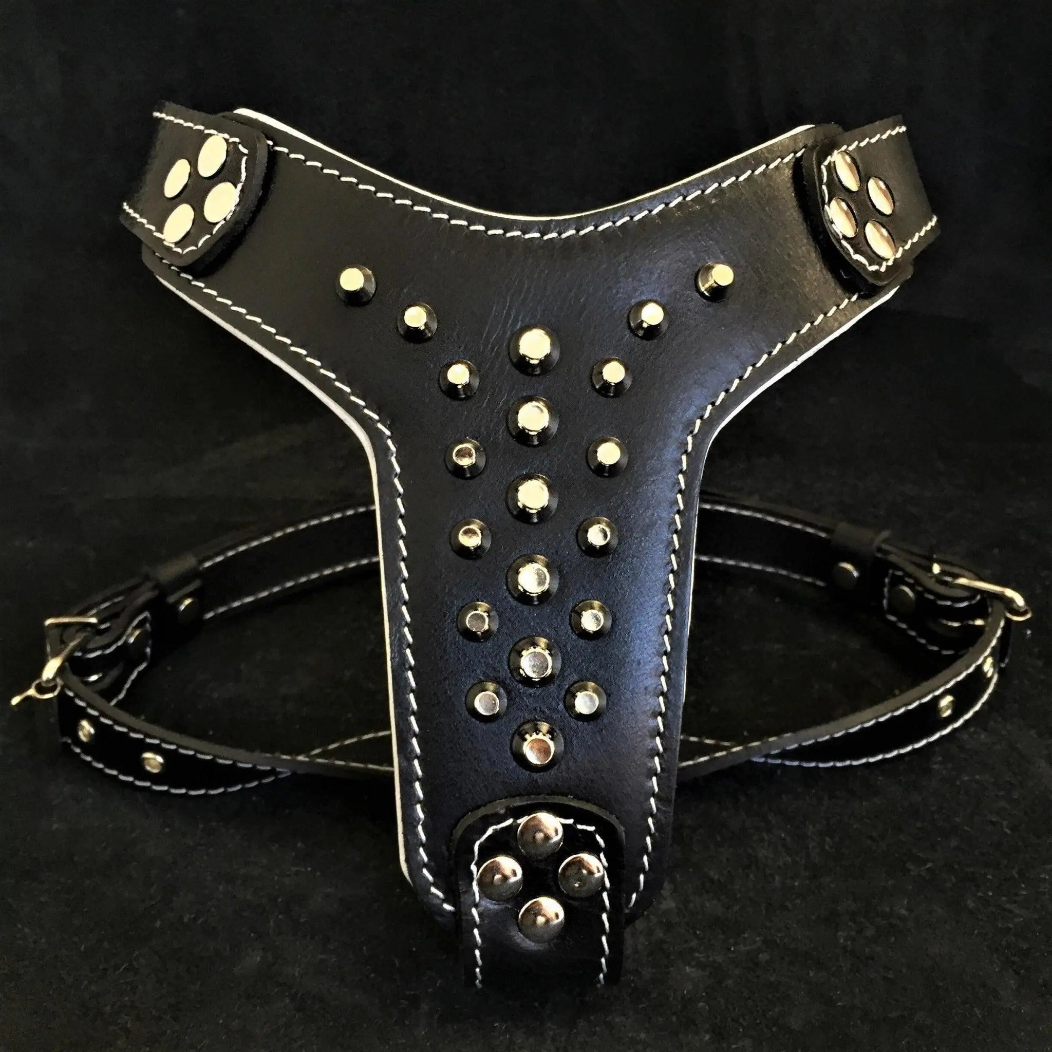 The "Rocky" studded leather harness Small to Medium Size BESTIA
