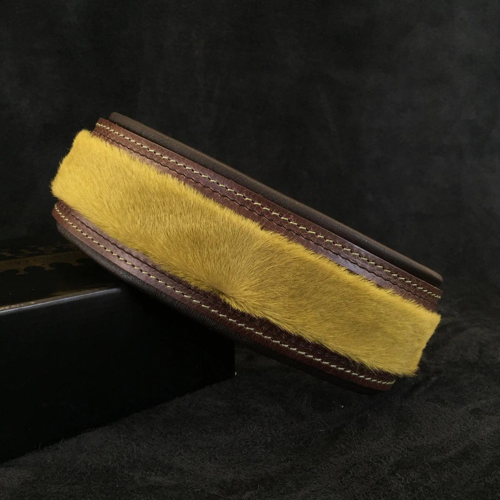 The ''Shrek'' collar BESTIA